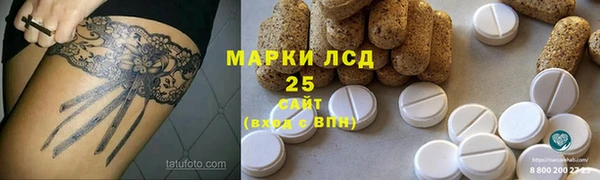 ПСИЛОЦИБИНОВЫЕ ГРИБЫ Алексеевка