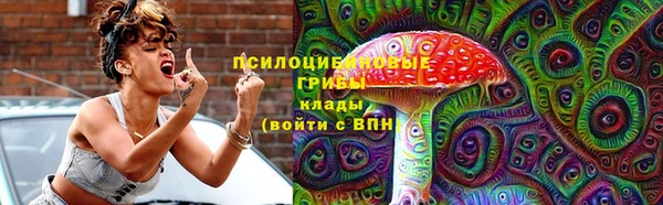 ПСИЛОЦИБИНОВЫЕ ГРИБЫ Алексеевка
