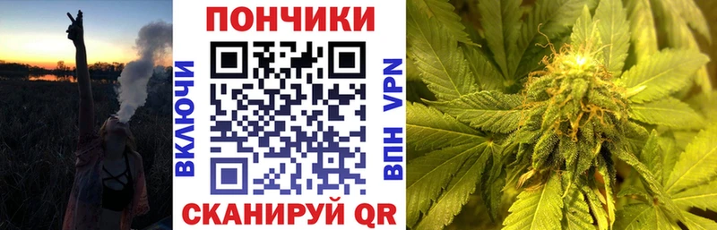Бошки марихуана SATIVA & INDICA  цены наркотик  Сосновый Бор 